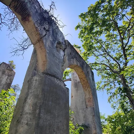 ヴィラ Unique Near Lisbon With Pool & Magical Decor コロイオス